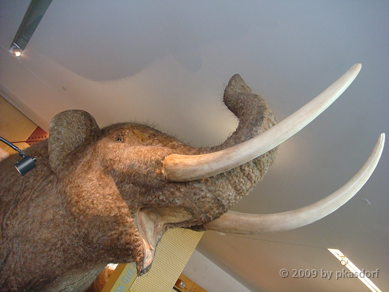 039 Cranbrook Institute of Science [2008 Jan 02].JPG